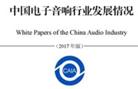 我国电子音响行业发展的特点